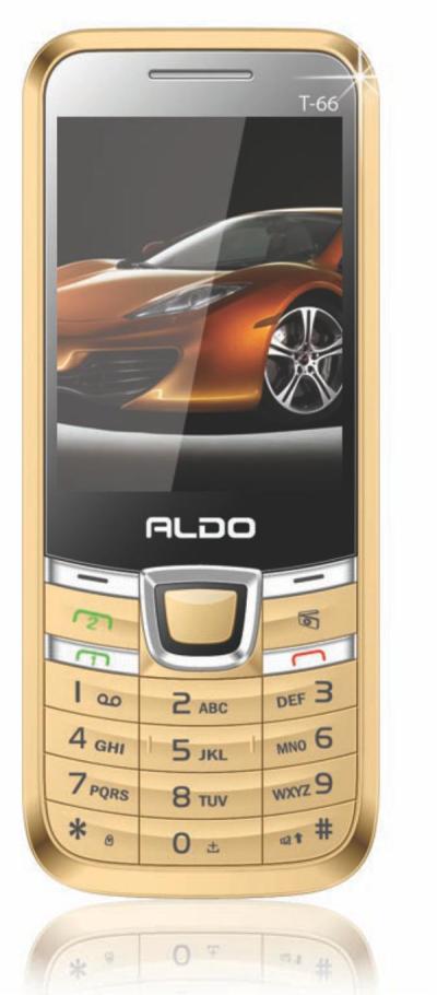 ALDO HP T66-GOLD