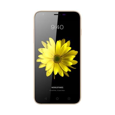 AXIOO PicoPhone M4P Gold Smartphone [RAM 2 GB/16 GB]