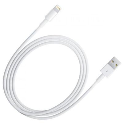 Apple Kabel Data iPhone 5 / 5s