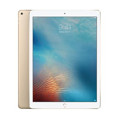 Apple iPad Pro 12.9 inch 256 GB WiFi Only - Gold