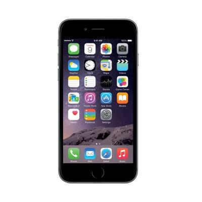 Apple iPhone 6 Plus 16 GB Space Gray Smartphone