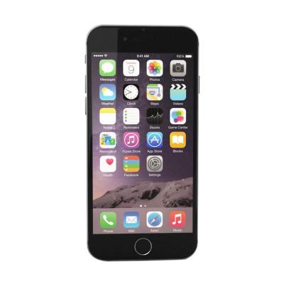 Apple iPhone 6 Plus Grey Smartphone [128 GB]