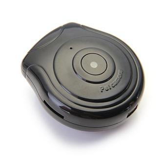 Digital Video Camera Recorder (Black)  