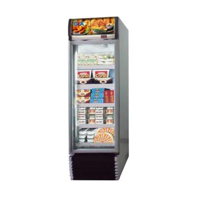 GEA Expo-500AL/CN Up Right Freezer