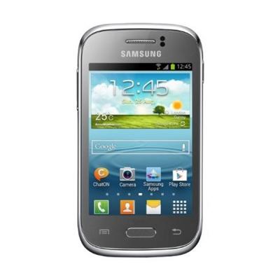 Samsung GT-S6310 Galaxy Young Silver Smartphone