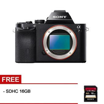 Sony Alpha 7 Kamera Mirrorless - 24.3MP - Hitam + Gratis SDHC 16GB  