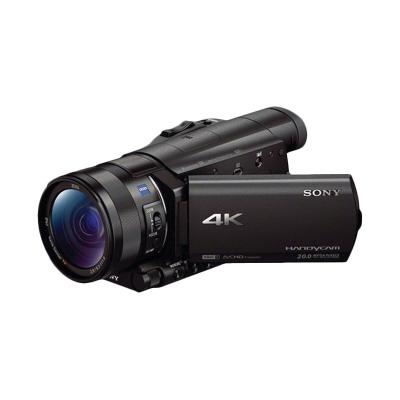 Sony FDR-AX100E Camcorder