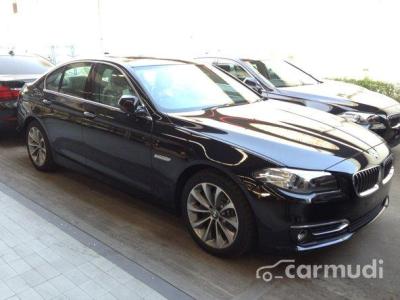 2015 BMW 520i Luxury