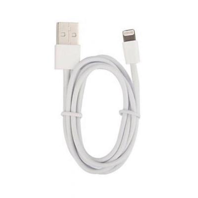 Apple Kabel Data Lightning iPhone 5 / 5c/ 5s / iPad Mini - White