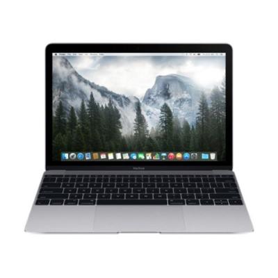 Apple MacBook MJY32 Grey Notebook