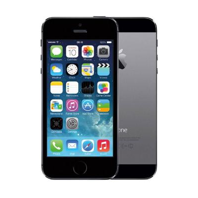 Apple iPhone 5S 64 GB Space Grey Smartphone [Refurbish]