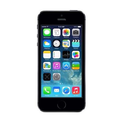 Apple iPhone 5S Grey Smartphone [16 GB/Refurbish]