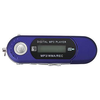 DHS 2GB USB 2.0 Flash Drive LCD Mini MP3 Player with FM Radio And Voice Recorder (Blue) (Intl)  