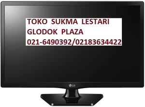 LG LED TV Monitor 28MT47A USB Movie