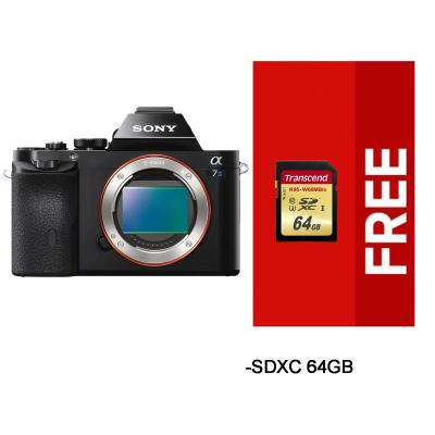 Sony Alpha a7S Kamera Mirrorless - Hitam Free SDXC 64Gb