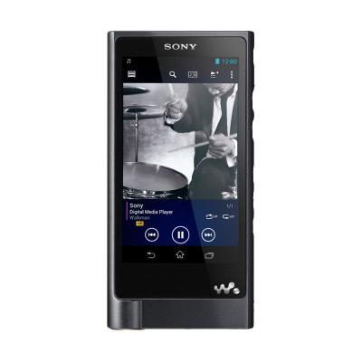 Sony NWZ-ZX2 High Resolution Walkman Media Player