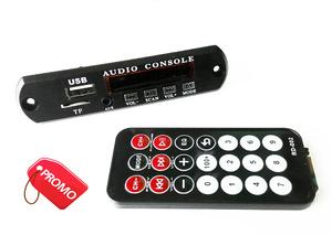 Panel MP3 Players ( USB & MMC Audio Card Reader ,FM Radio )